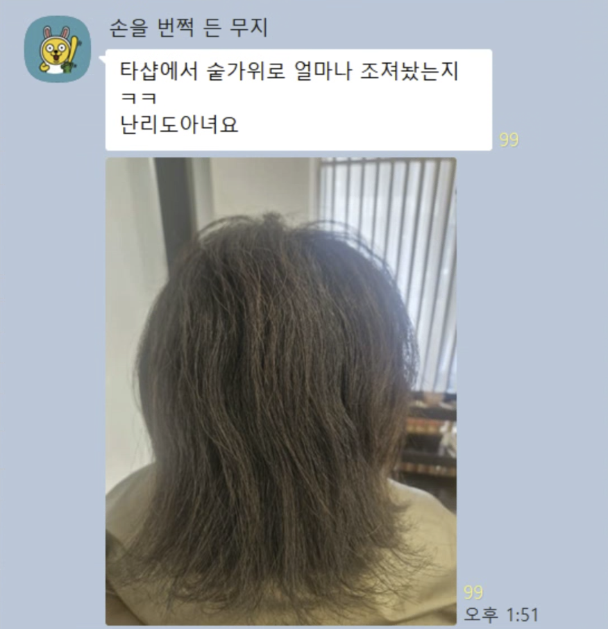 라이온킹에서 대변신 하셨어용!